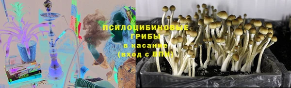 ECSTASY Абдулино