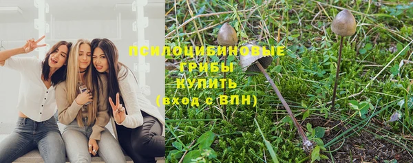 ECSTASY Абдулино