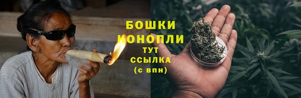 ГАЛЛЮЦИНОГЕННЫЕ ГРИБЫ Абаза