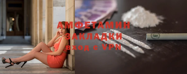 ГАЛЛЮЦИНОГЕННЫЕ ГРИБЫ Абаза