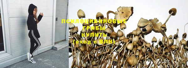 ГАЛЛЮЦИНОГЕННЫЕ ГРИБЫ Абаза
