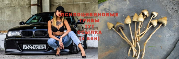 амф Абинск