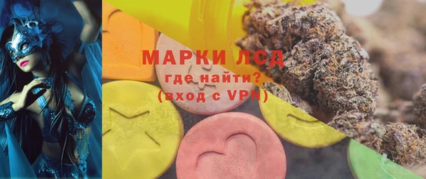 ГАЛЛЮЦИНОГЕННЫЕ ГРИБЫ Абаза