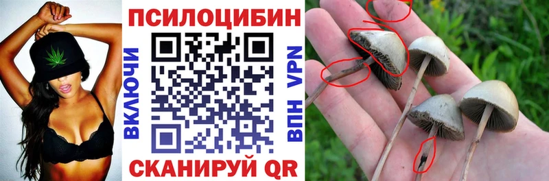 Псилоцибиновые грибы MAGIC MUSHROOMS нарко площадка состав Петров Вал
